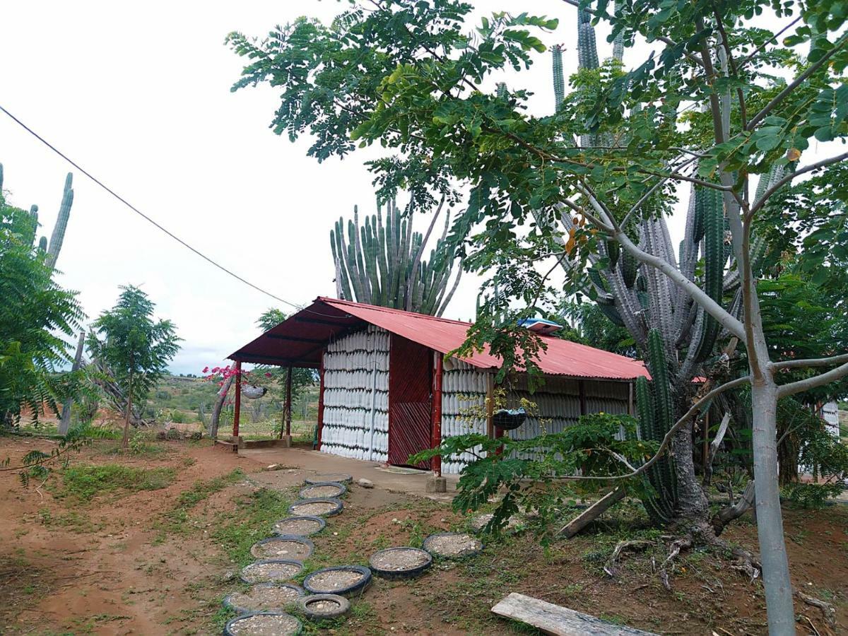 Alojamiento Casa De Campo Los Cactus Villavieja Exterior photo