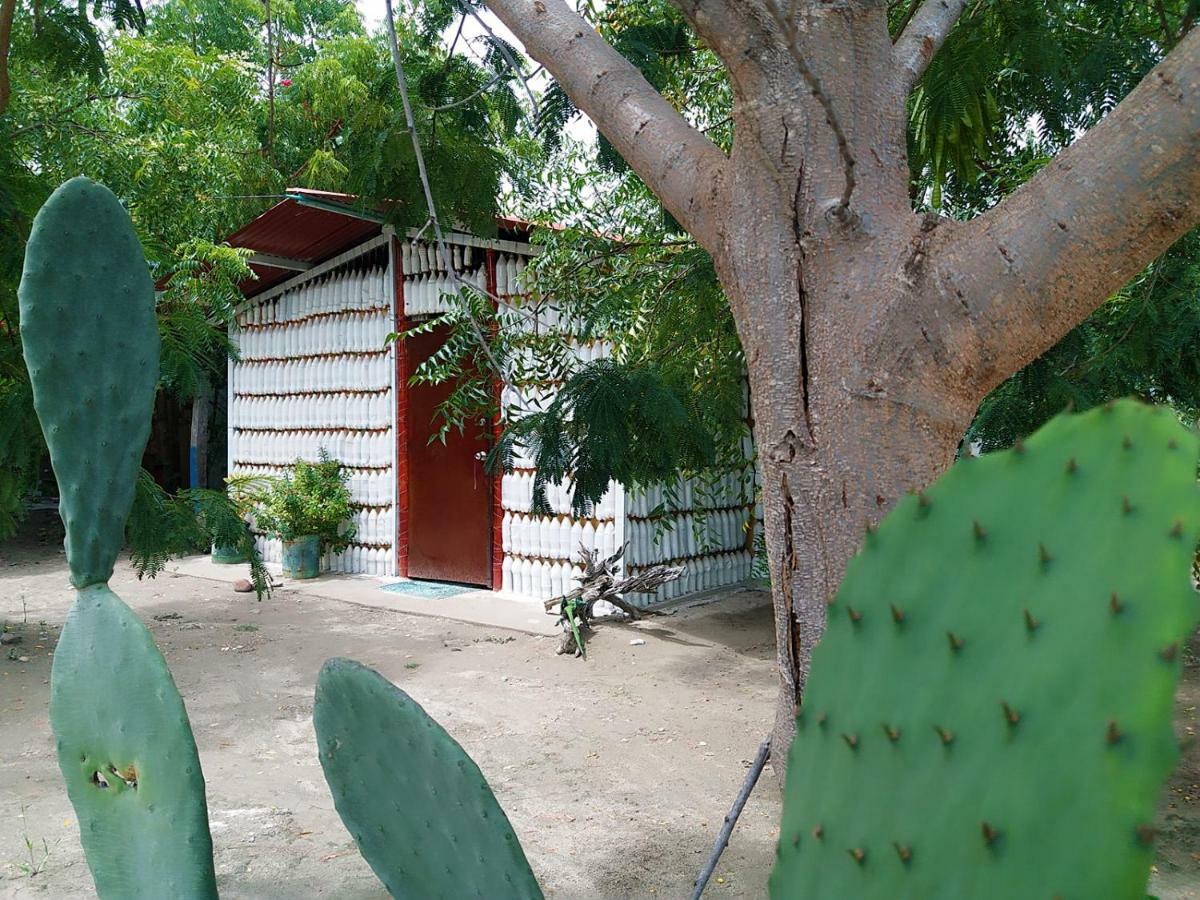 Alojamiento Casa De Campo Los Cactus Villavieja Exterior photo